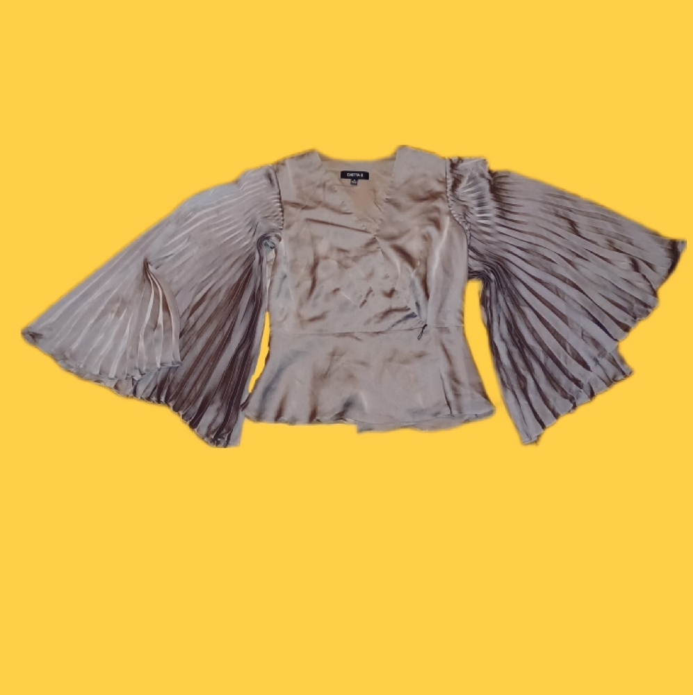 Pleated Sleeve Blouse
